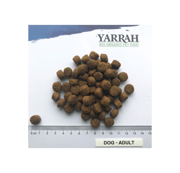 yarrah adult dog food